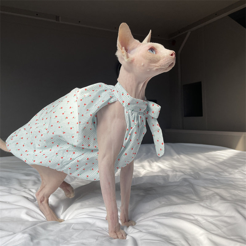 Summer Light Clothing - Pakaian Kucing Musim Panas Biru Muda