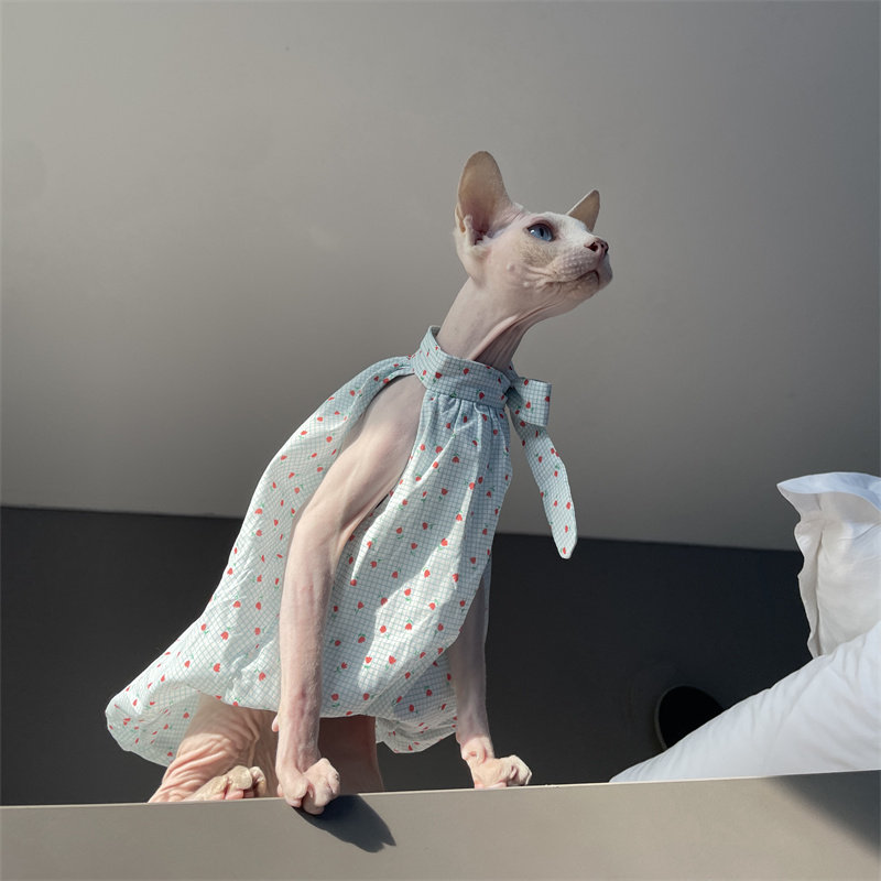 Pakaian Kucing Musim Panas Bir - Summer Light Clothing ulasan dan harga