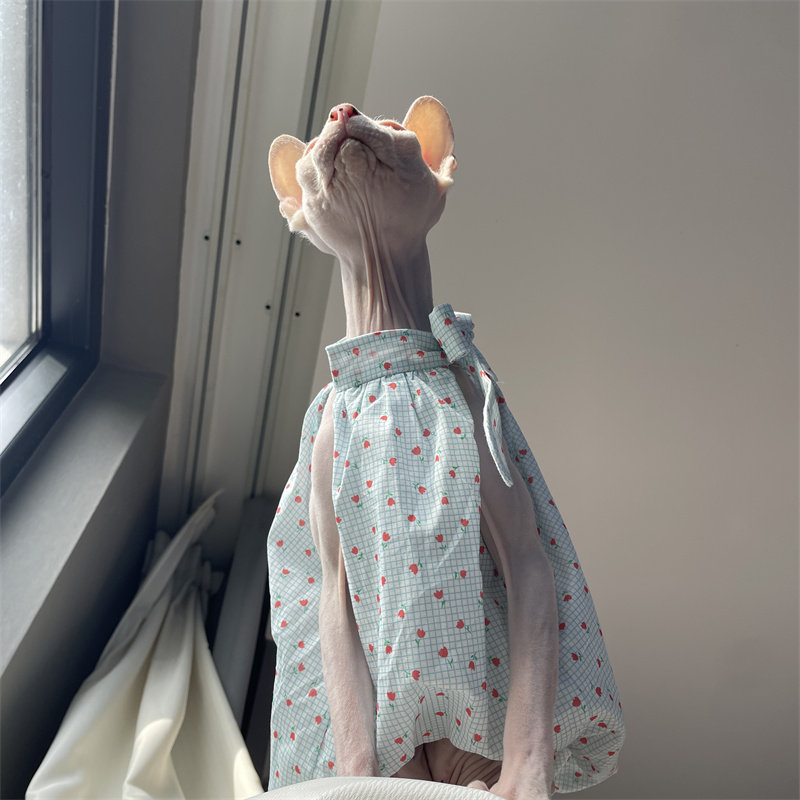 Pakaian Kucing Musim Panas Bir - Summer Light Clothing ulasan dan harga