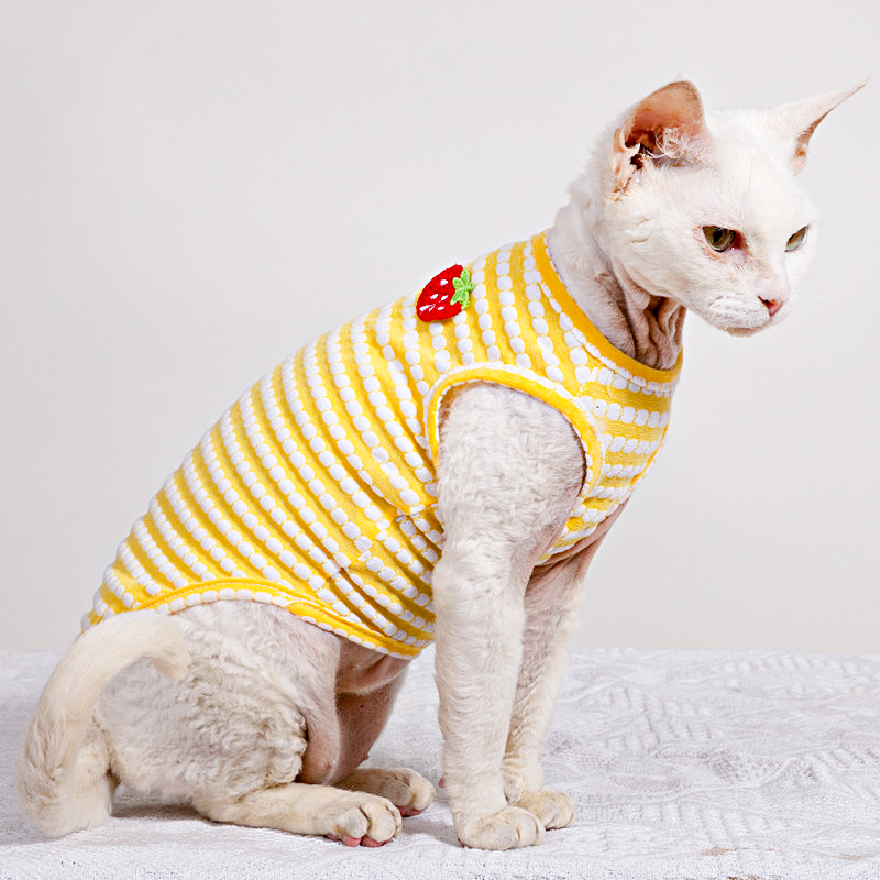 Kaus Musim Panas untuk Pakaian - Soft Summer Yellow Clothing ulasan dan harga