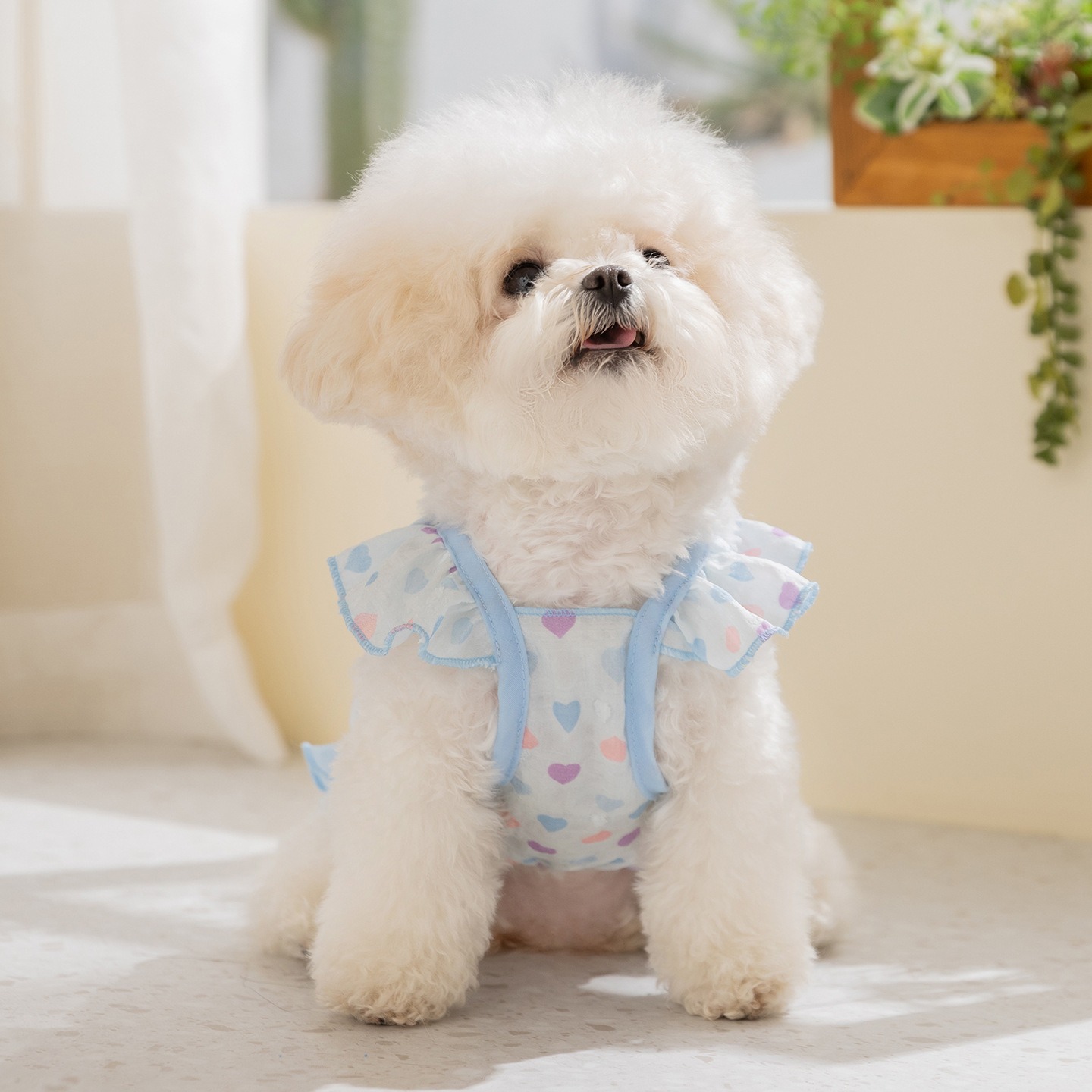 Pakaian Anjing Warna Kuning, G - Soft Summer Yellow Clothing ulasan dan harga