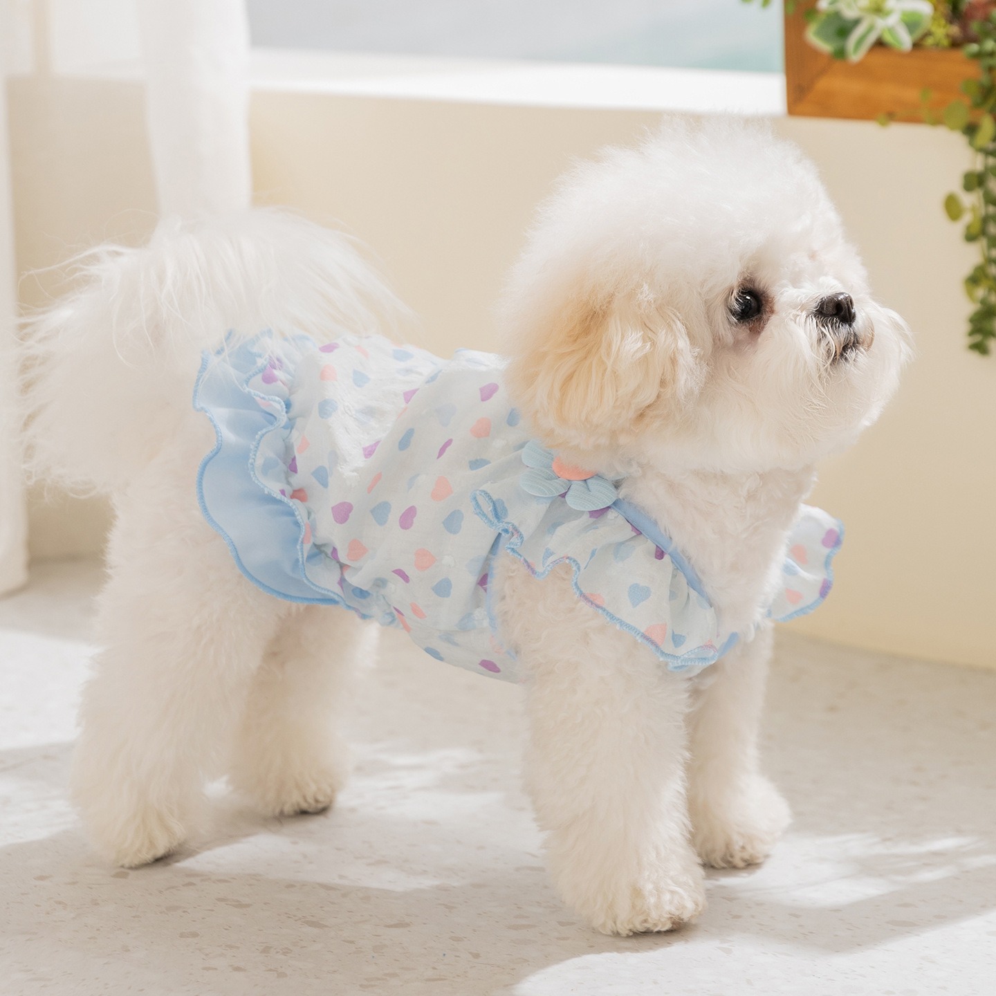 Pakaian Anjing Warna Kuning, G - Soft Summer Yellow Clothing ulasan dan harga