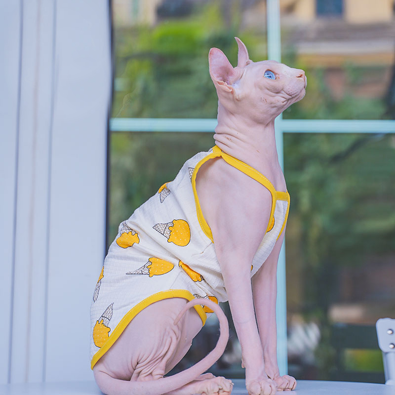 Sphynx pakaian kucing Sphinx r - Soft Summer Yellow Clothing ulasan dan harga